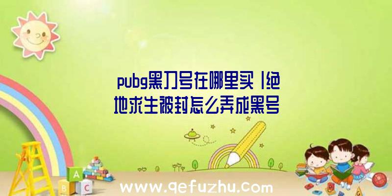 「pubg黑刀号在哪里买」|绝地求生被封怎么弄成黑号